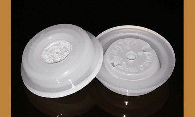 1760690599193910.jpg advanced-one-way-degassing-valves-with-filter-protection.jpg